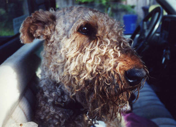 Max