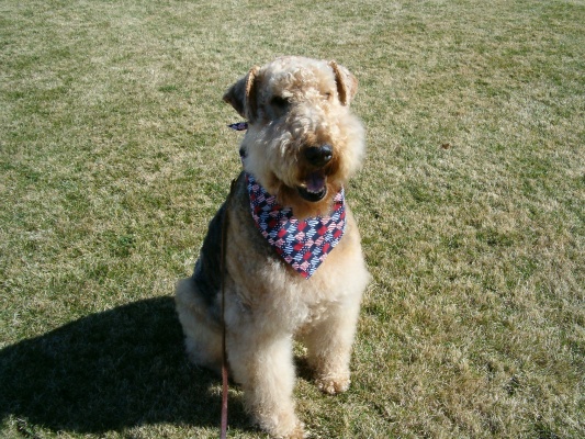 Picture of Newman