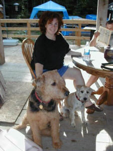 Rehomed Airedale