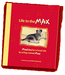 Life to the MAC cover